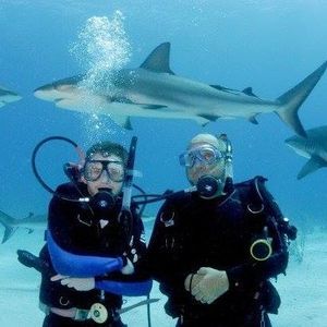 Meet your Posher, Greg